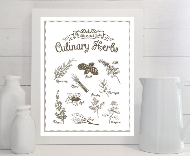 Culinary Herbs: An Illustrated Guide 11x14 print Kitchen | Etsy