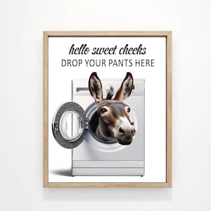 May include: A white washing machine with a donkey's head poking out of the opening. The text "hello sweet cheeks drop your pants here" is printed on the front of the machine.