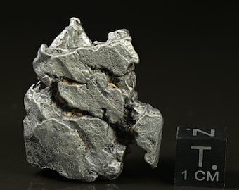 Meteorito de hierro/níquel #4 de Campo del Cielo