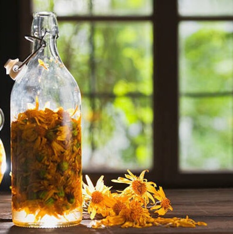 Arnica Butter Joint Pain Muscle Aches Bruises Pain Relief Etsy