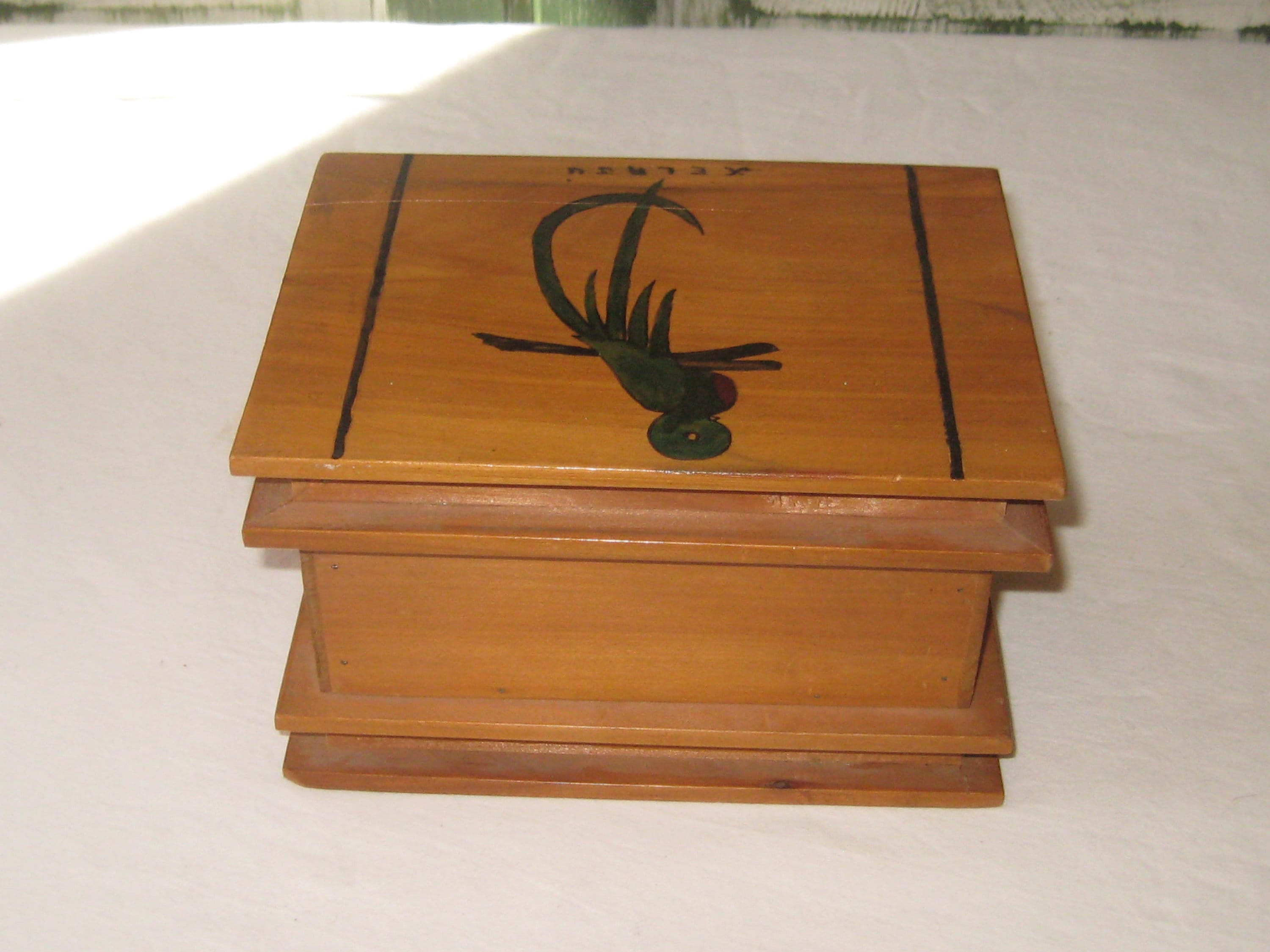 Vintage Wood Box, Hinged Lid, Faux Brown Wooden Book Exotic Parrot
