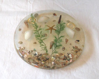 Vintage lucite onderzetter met zeeschelpen ster vis iriserende abalone schelpen algen, nautisch tropisch strand decor, jaren 1970 USA footed kookplaat