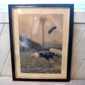 Eagle print, vintage bird poster, large framed nature wall hanging decor, 80s, black white photograph picture, wall art, eagle photo poster