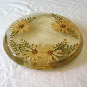Antiker Lucite Topfuntersetzer, Margeriten Farn Blätter eingelegte getrocknete Blumen, Mid Century 50er 60er Jahre, Topflappen mit Fuß, bernsteinfarben Vanille rustikal