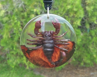 Scorpion Pendant made with reclaimed burl wood and clear resin