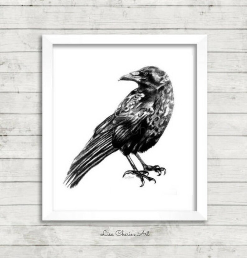 Crow Print Crow Art Crow Sketch Crow Drawing Bird Art Etsy Australia