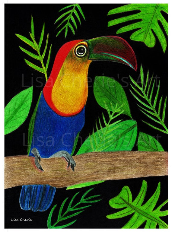 Dibujo de tucanes arte de aves arte de lápices coloridos - Etsy España