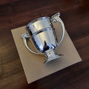 May include: A polished silver trophy cup with two decorative handles and a detailed base. The cup sits on a brown cardboard surface, reflecting the surroundings. This trophy is likely for an award or achievement.