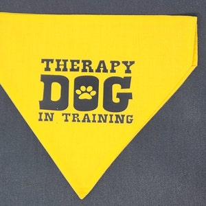 May include: Yellow bandana with black text that reads "Therapy Dog In Training" with a paw print in the middle of the word "Dog".