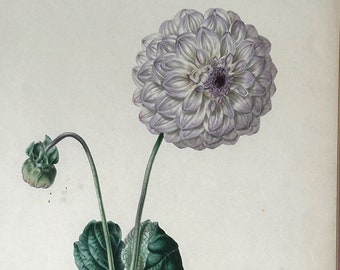 Antique 1842 Hand Colored Lithograph James Andrews London