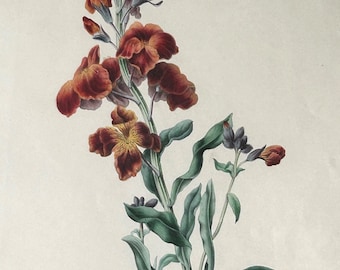 Antique 1842 Hand Colored Lithograph James Andrews London