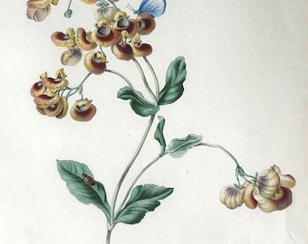 Antique 1842 Hand Colored Lithograph James Andrews London