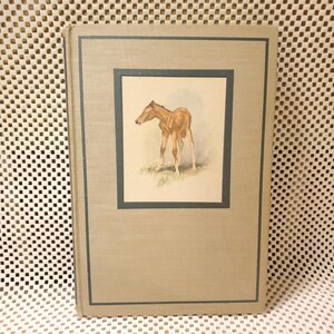 Books, 40s, The Red Pony, Steinbeck