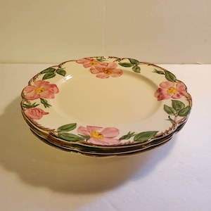 新品EL RANCHO hand painted desert rose 中鉢2 El Rancho Desert Rose - Etsy