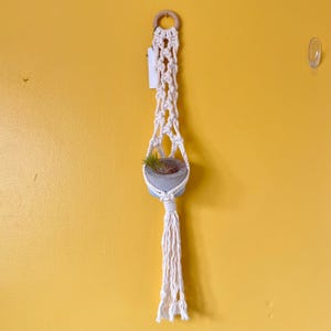 Macrame Plant Hanger, sustainable interior decor