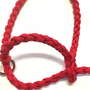 goat halter and lead, dwarf goat halter, dwarf goat lead, small goat halter, small livestock halter, nubian goat halter, alpaca halter image 2