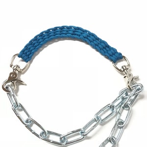 Goat collar, goat show  collar, show goat collar, chain goat collar, goat, collar, caribbean blue goat collar