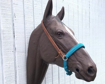 May include: A brown horse's head mounted on a white wooden wall. The horse is wearing a turquoise rope halter and a brown leather halter.