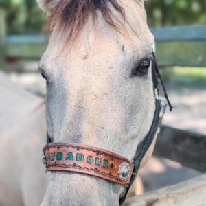Personalized  horse halter black