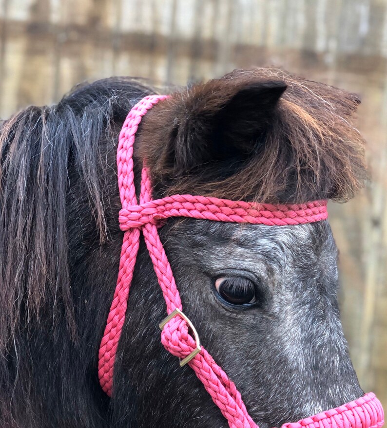 Miniature Horse Bridle Pony Bridle Etsy