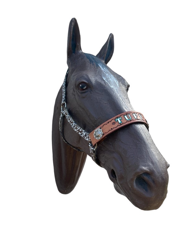 Custom Made Louis Vuitton LV Print Bronc Nose Halter  Horse accessories, Western  horse tack, Horse halters
