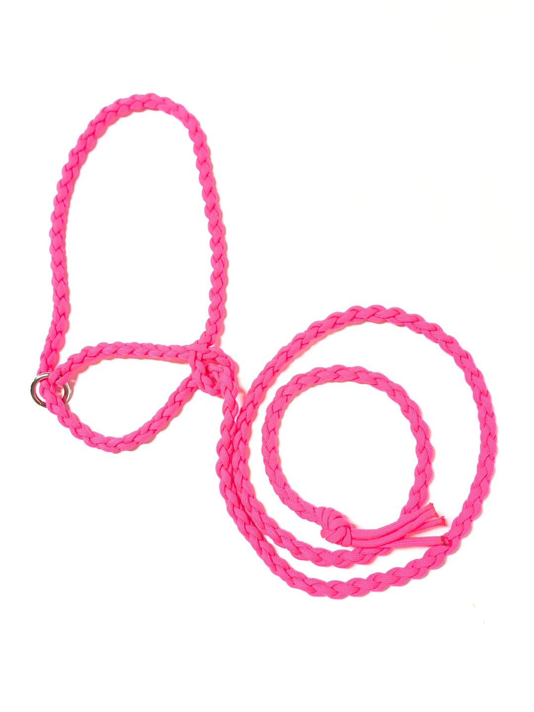 Dwarf Livestock Lead Pygmy Goats Sheep Alpacas Goat Etsy