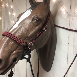 bitless bridle, indian bosal, bitless headstall, bridle set, reins, bitless bridle set, burgundy indian bosal, custom tack