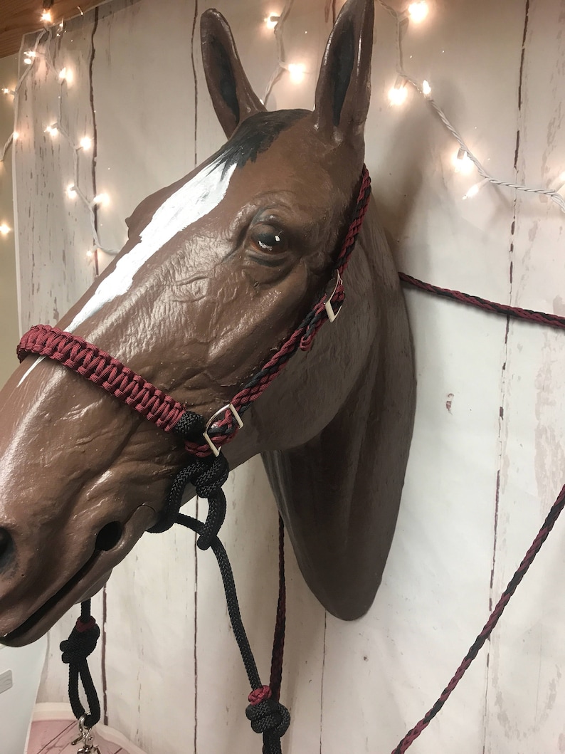 Bitless Bridle Indian Bosal Bitless Headstall Bridle Set Etsy