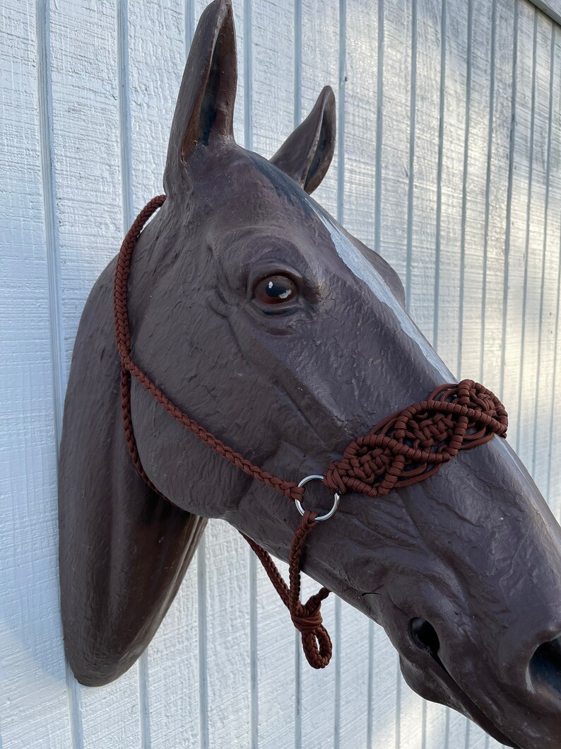 Halter Beautiful Braided Paracord Horse Halter Etsy