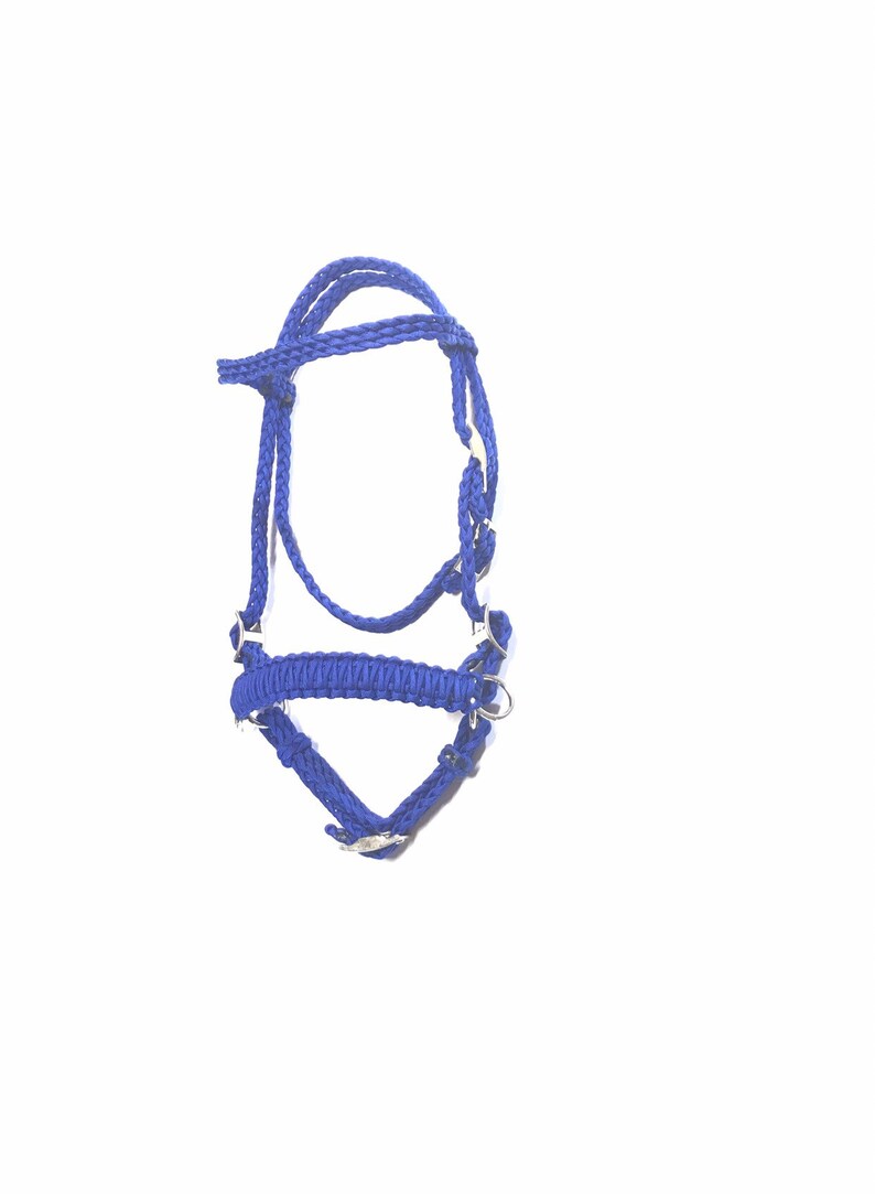 May include: A blue braided rope horse halter with silver hardware.