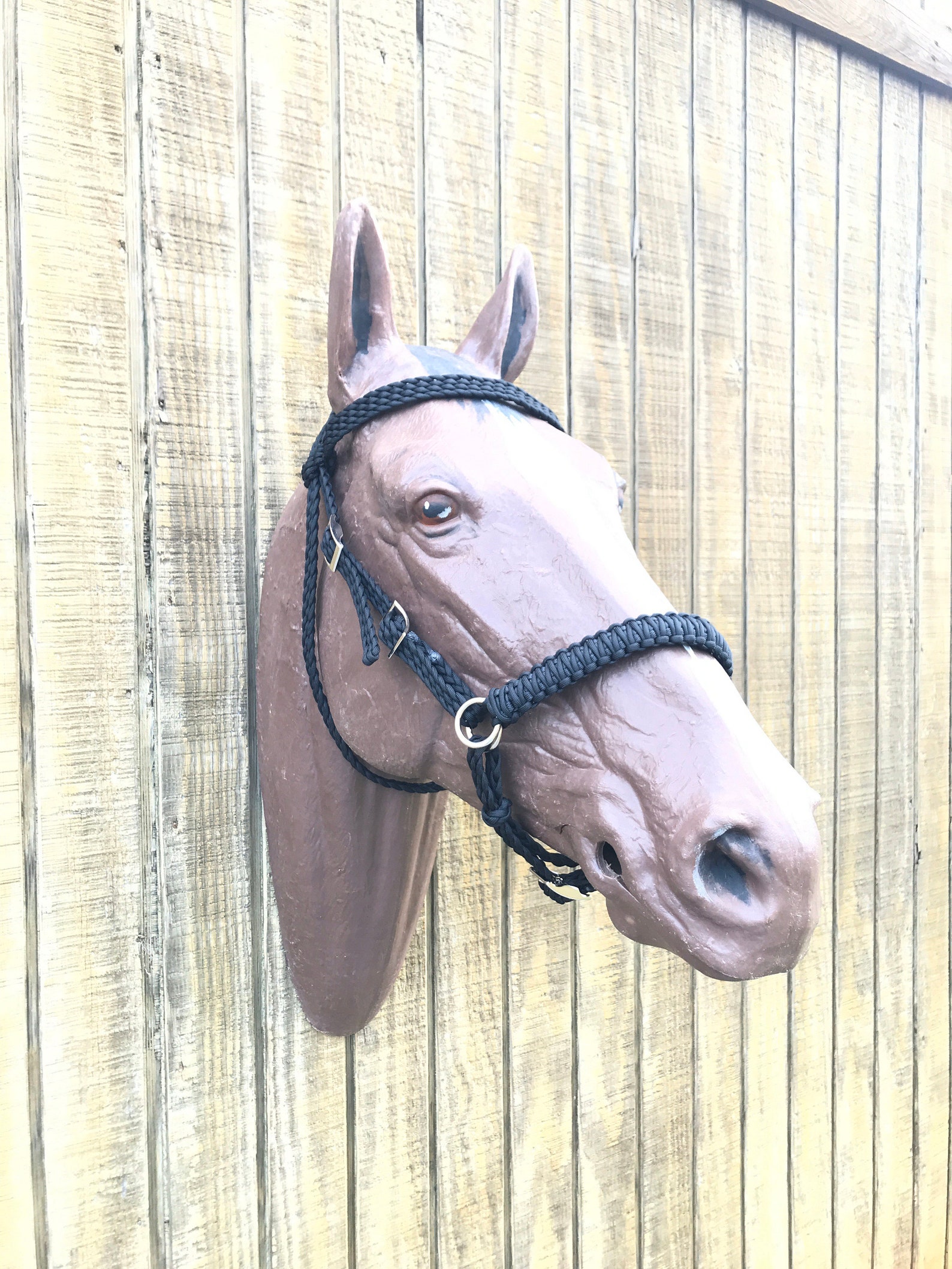 Bitless Bridle Horse Side Pull Hackamore Horse Bitless Etsy