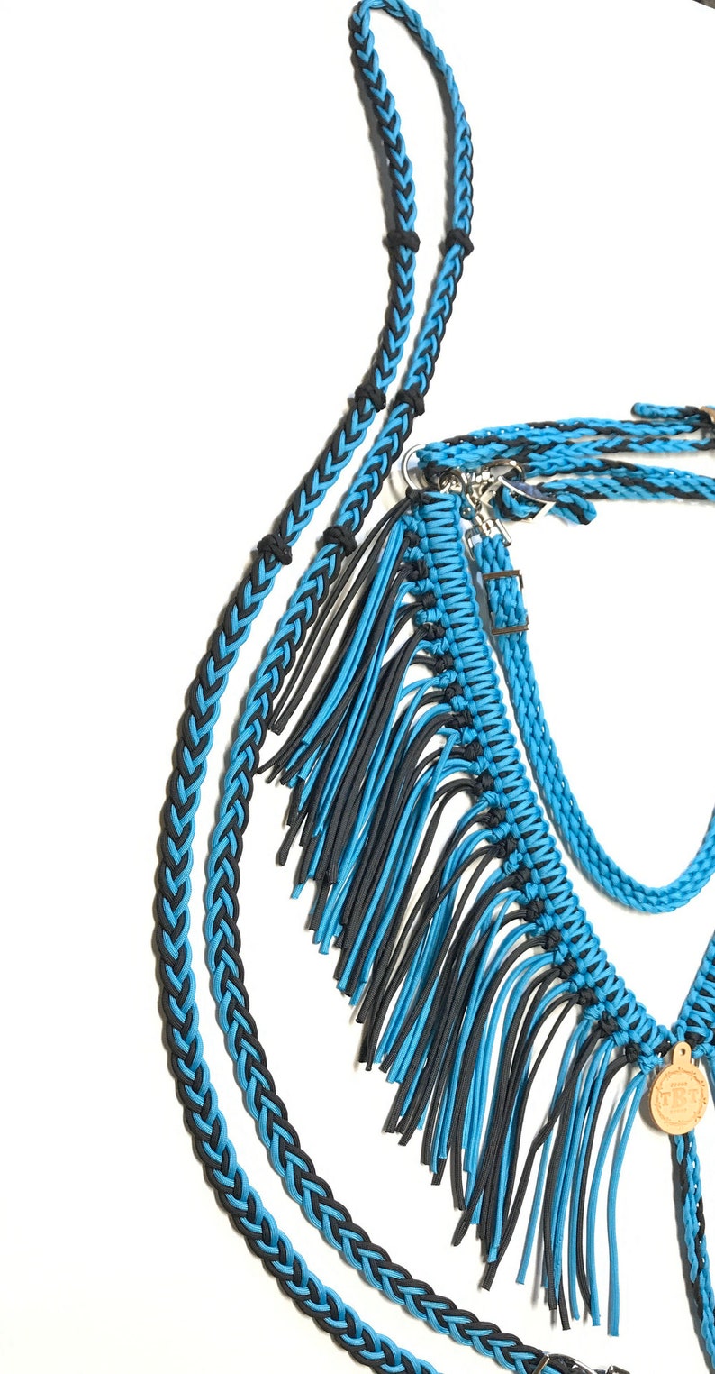 Horse tack set turquoise and black