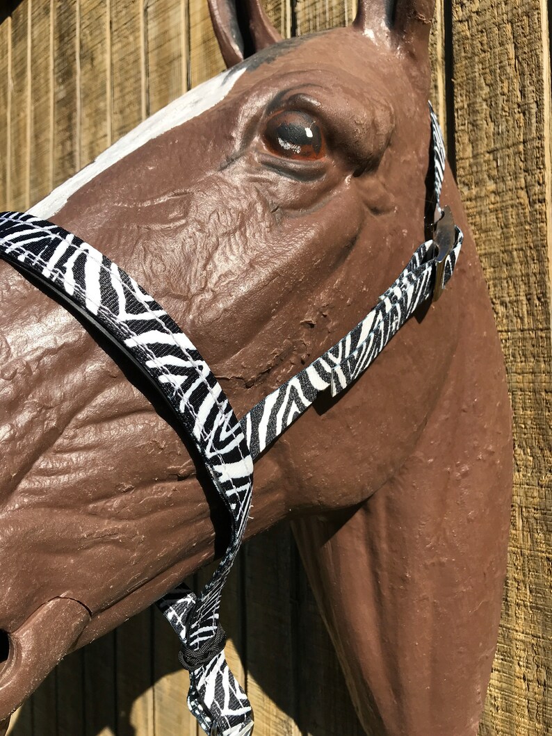 Zebra horse tack tie down noseband for barrel racing nylon Etsy