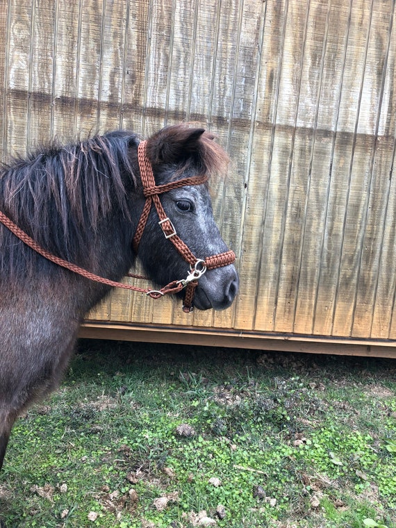 miniature horse bridle pony bosal miniature horse pony side pull hackamore bridle Pony bridle