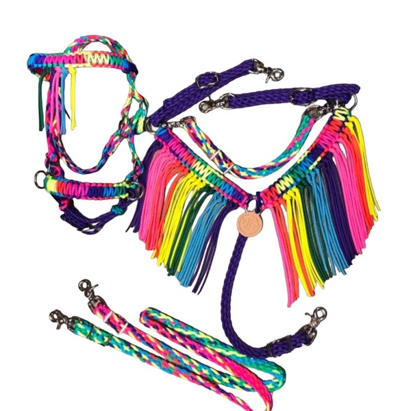 Rainbow pony fringe tack set