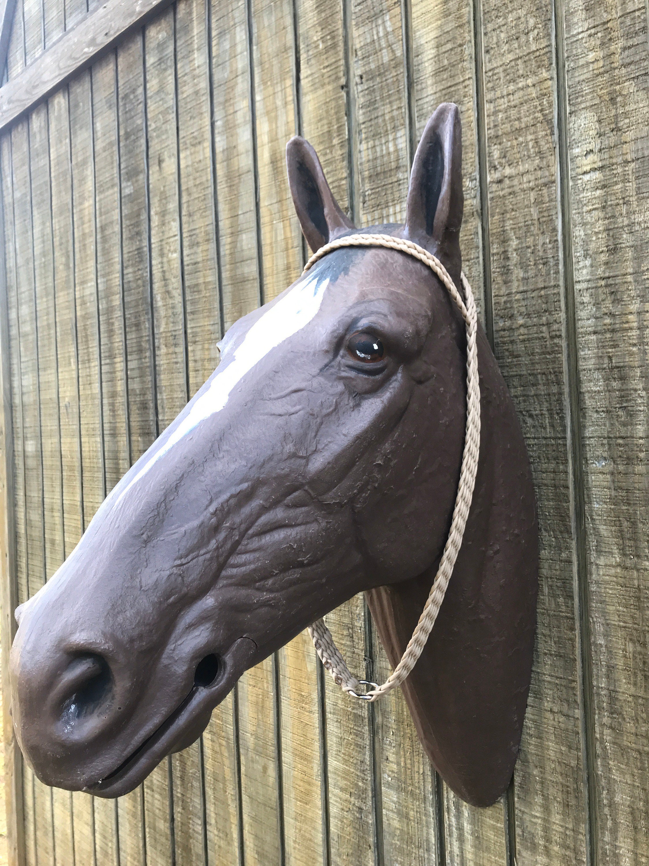 Tan War Tie Down Custom Horse Tack Paracord Etsy Australia