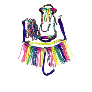 miniature horse or pony rainbow tack set