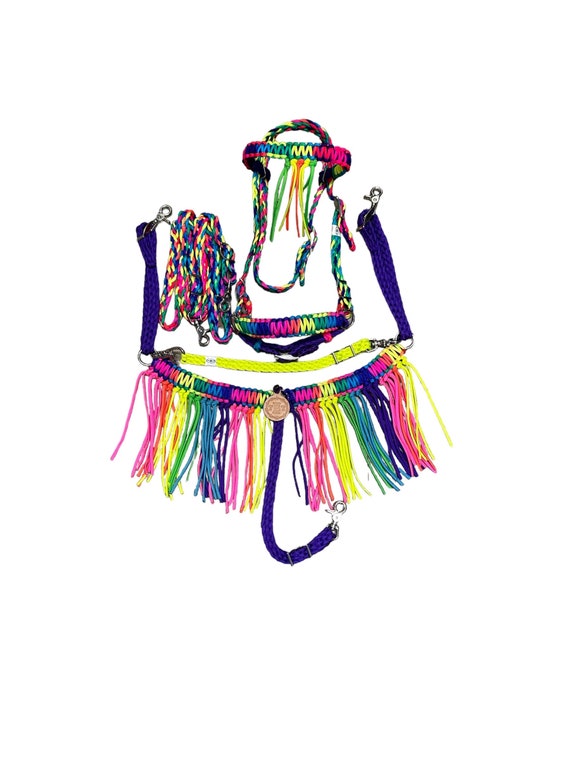 Miniature Horse or Pony Rainbow Tack Set - Etsy