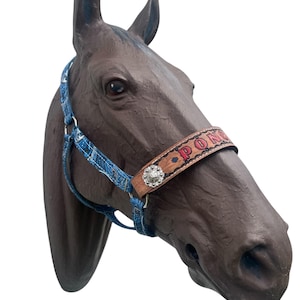 Personalized  horse halter blue paisley