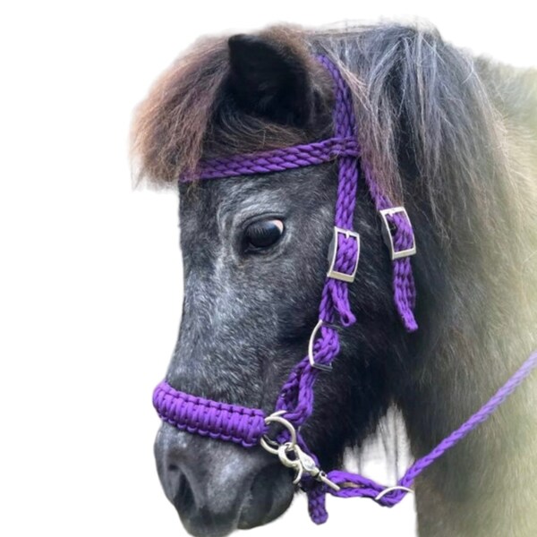 Pony bitless bridle pony tack, pony or miniature horse hackamore many colors to choose from