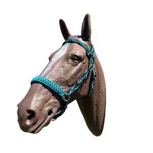 Bitless bridle, Horse side pull hackamore in black and neon turquoise