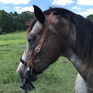 leather and paracord Bitless bridle all sizes and you choose color