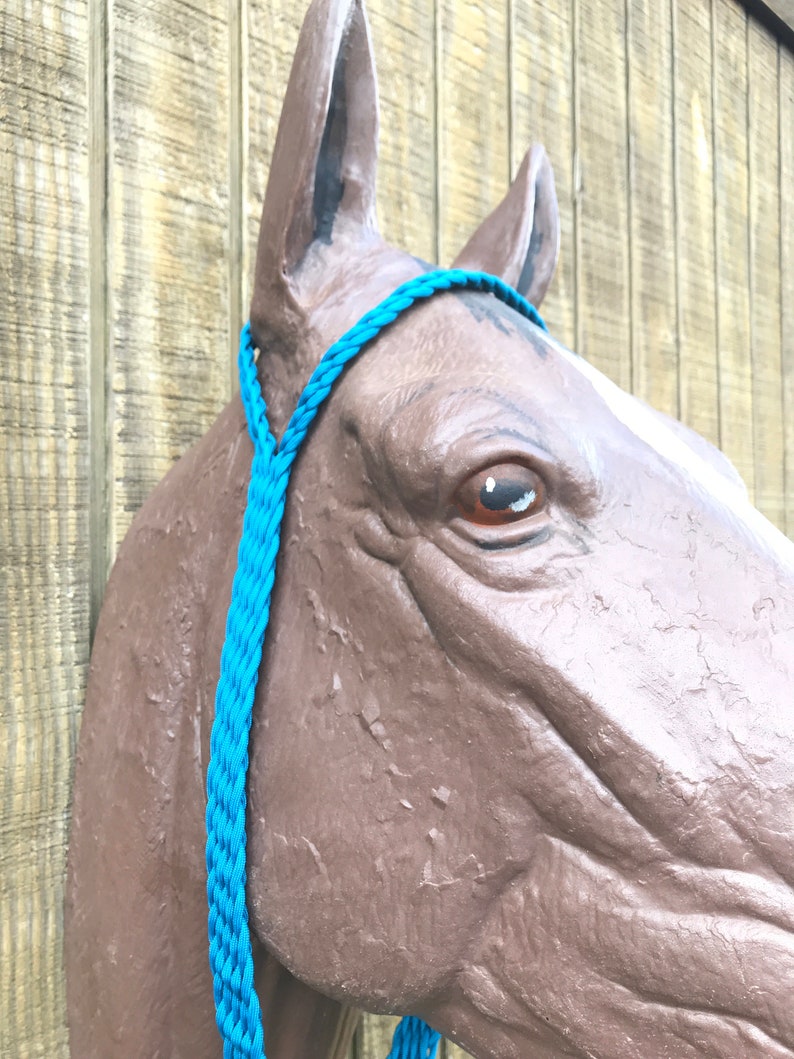 Blue War tie down custom horse tack paracord Etsy