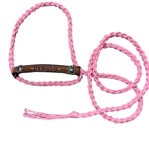 Hand tooled and hand painted large  cow halter you choose colors