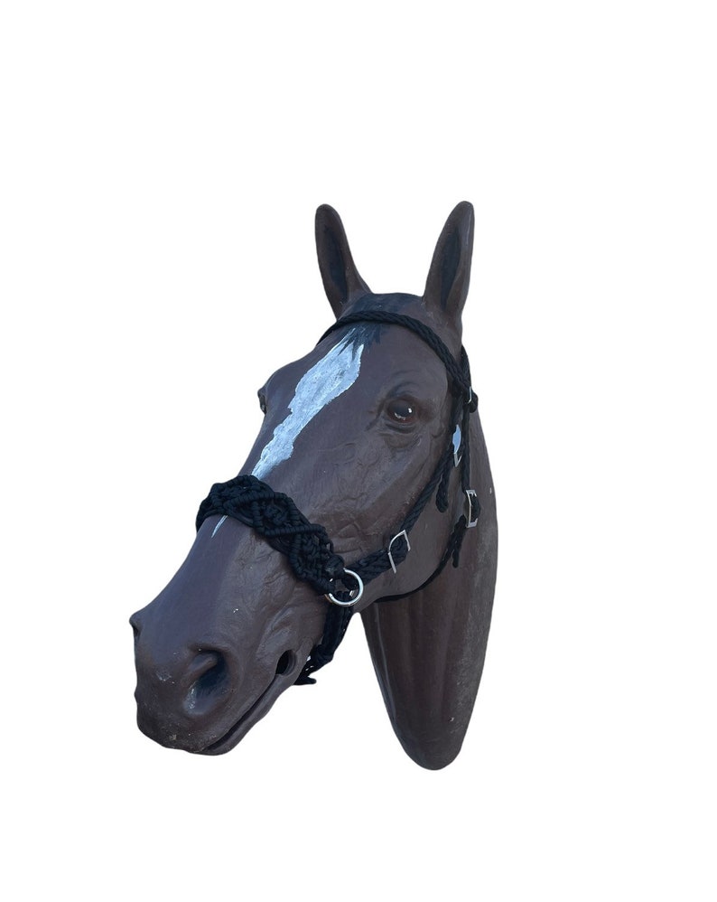 Bitless Bridle Horse Side Pull Hackamore Horse Bitless Etsy