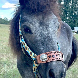 Personalized  pony or miniature horse halter