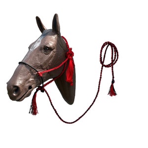 Mule tape halter with lariat noseband red and black