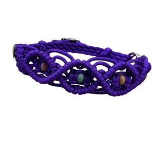 May include: Purple braided dog collar with three colorful beads.