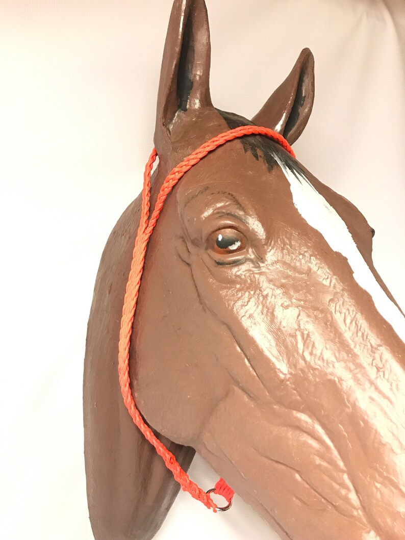 Orange War Tie Down Custom Horse Tack Paracord Etsy