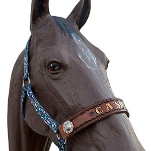 Personalized dinosaur  horse halter